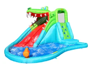 Crocodile Double Slide Fun Park